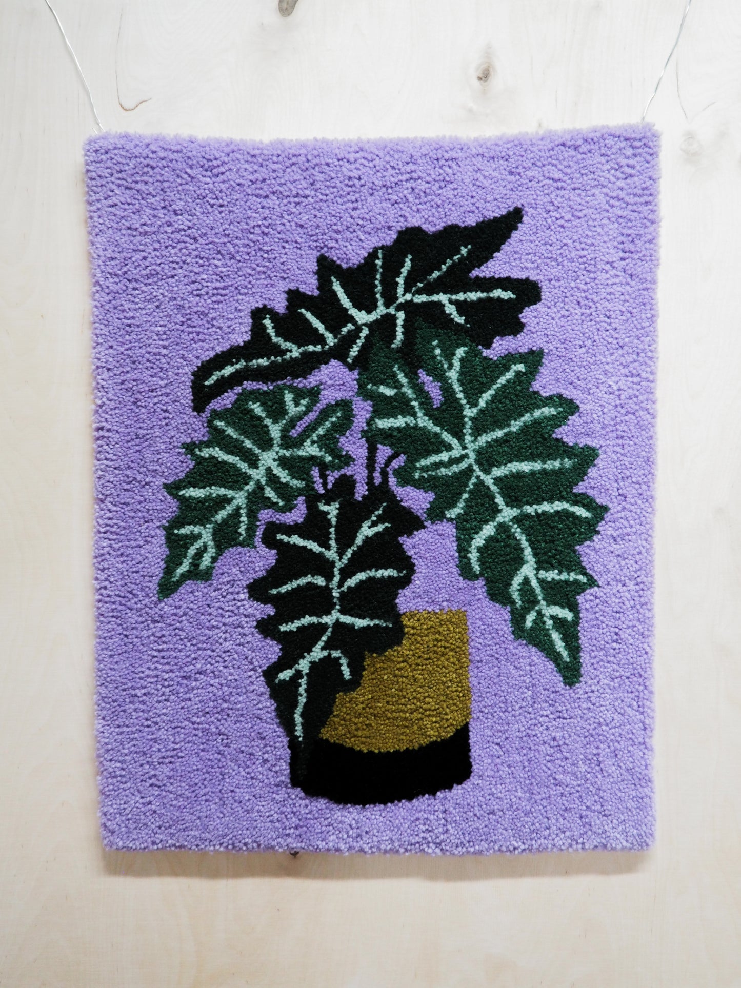 Viherkasviryijy (Alocasia Sanderiana)