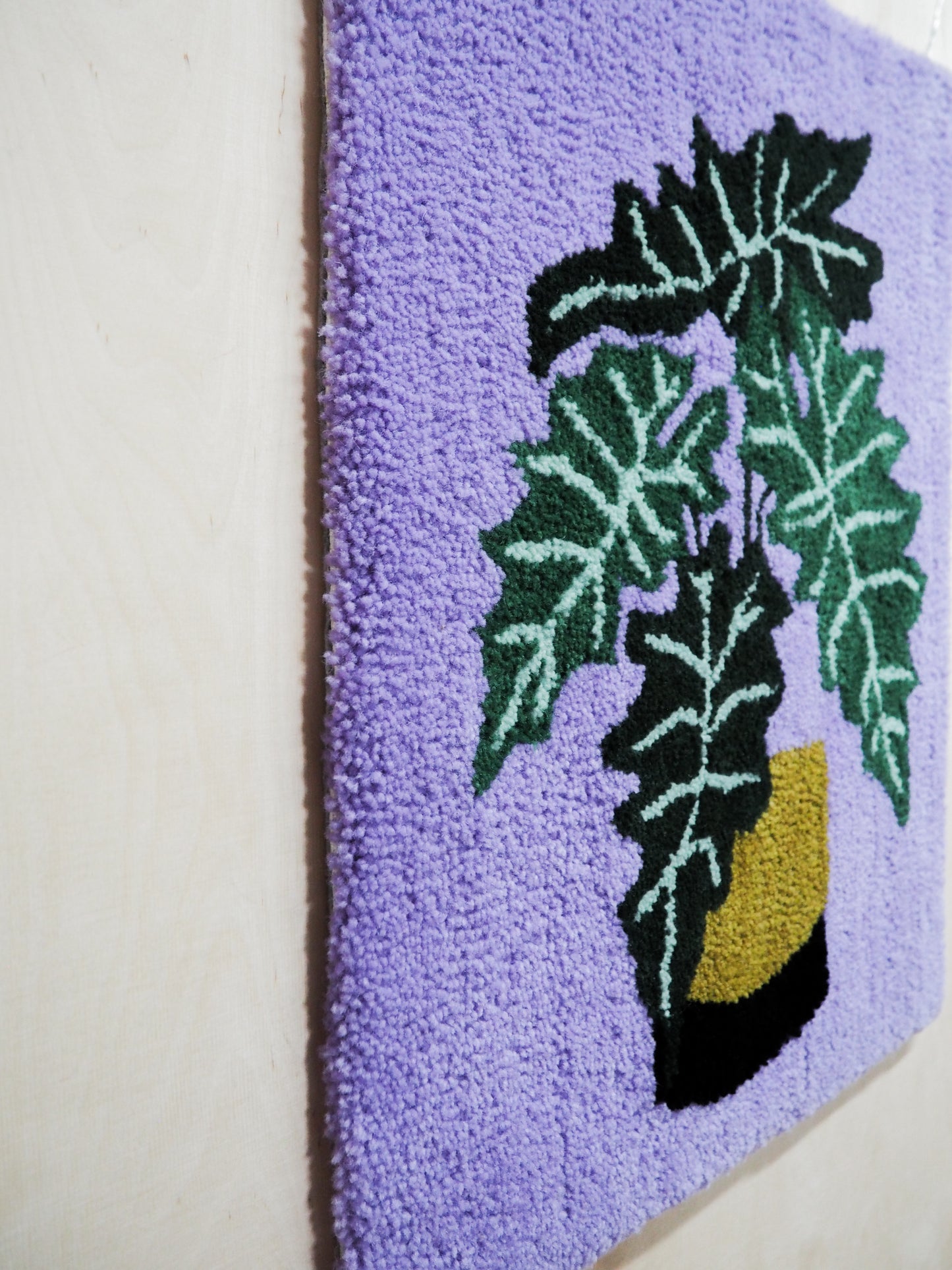 Viherkasviryijy (Alocasia Sanderiana)