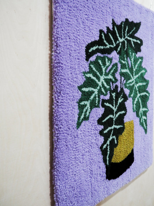Viherkasviryijy (Alocasia Sanderiana)